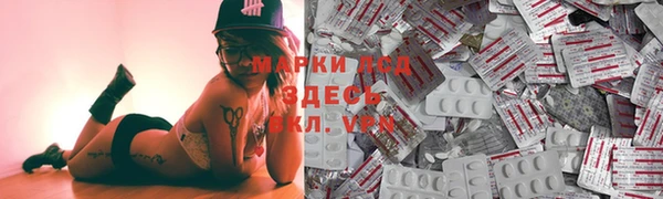 спиды Горняк