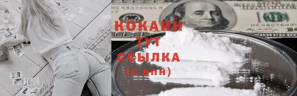спиды Горняк