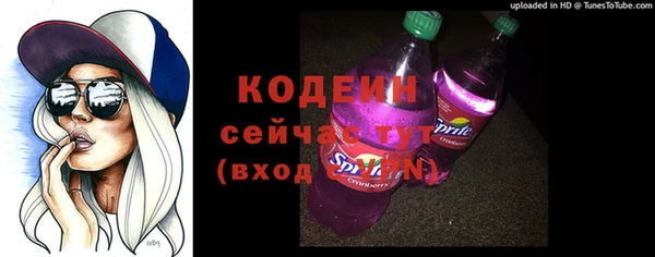 спиды Горняк