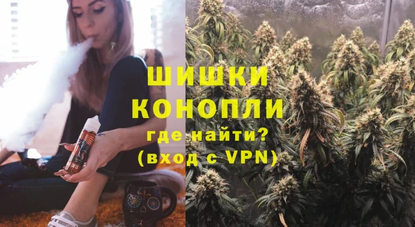 ПСИЛОЦИБИНОВЫЕ ГРИБЫ Горно-Алтайск
