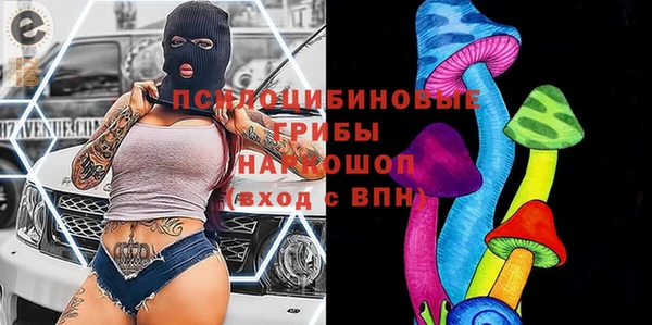 амф Дмитров