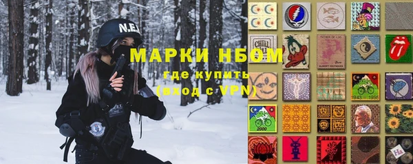 ПСИЛОЦИБИНОВЫЕ ГРИБЫ Горно-Алтайск