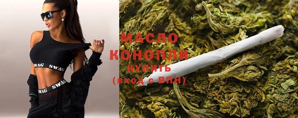 спиды Горняк