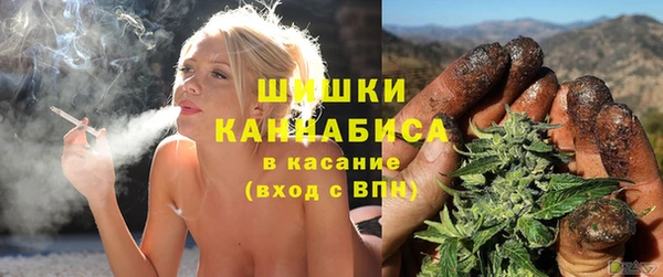 спиды Горняк