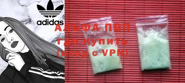 ПСИЛОЦИБИНОВЫЕ ГРИБЫ Горно-Алтайск