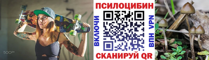 mega ссылки  Десногорск  Псилоцибиновые грибы Psilocybine cubensis 